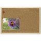 760234 Esselte500964 Korktavle med treramme økonomi 60x90cm 
